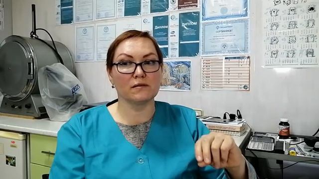 Кальций. Сколько его нужно собаке и при чем тут фосфор? смотреть онлайн