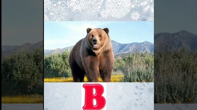 Звуковий аналіз слів.Односкладові та двоскладові слова смотреть онлайн