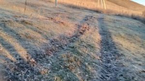 Сажаю чеснок 25 соток вручную. В основном однозубка ложная выросшая из падалицы прошлого года