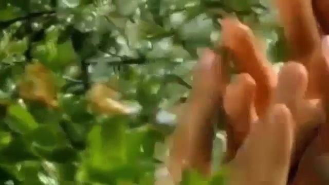 Сергей Грищук - Дыхание весны (Sergei Grischuk - The Breath Of Spring)