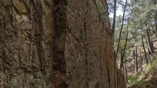 Красота дикой природы. Окрестности Геленджика. Скала Парус смотреть онлайн