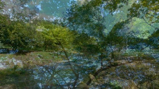 2 HOURS Tropical Forest Walk - Virtual Hike at McBryde Garden with Bird Songs, Kauai Island in 4K смотреть онлайн