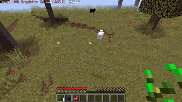 🎮 Intel UHD Graphics Xe G4 (48EU) - Minecraft gameplay benchmarks (1080p) смотреть онлайн
