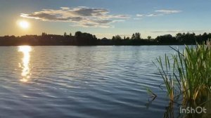 Славный отдых на берегу реки. Палатка ⛺️ Берег МфП-5, ловим рыбы, собираем грибы ?.