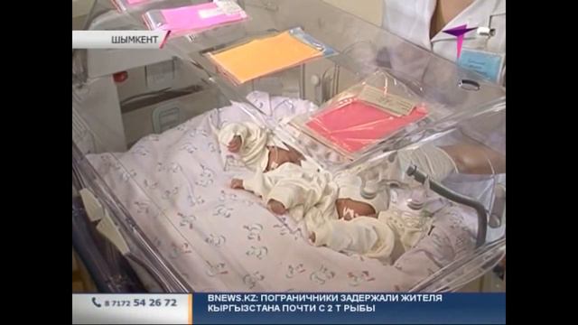 В ЮКО впервые за 10 лет родилась четверня