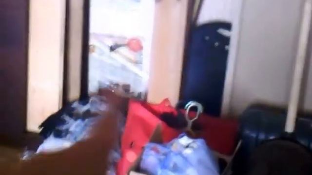 Наши ГЛОКСИНИИ! смотреть онлайн