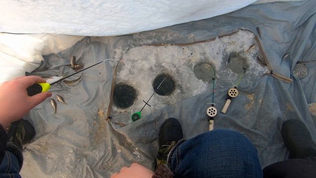 Сравниваю удочку Salmo Handy Rod с Salmo Sport на Омском затоне.