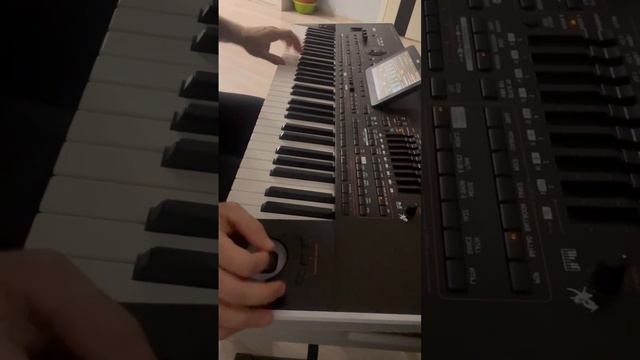 Korg pa4x /pa1000 Armenian Full SET part 2 смотреть онлайн