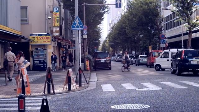Fujifilm X-T10 film Simulation Movie Test Cine-Xenon 50mm f2 смотреть онлайн