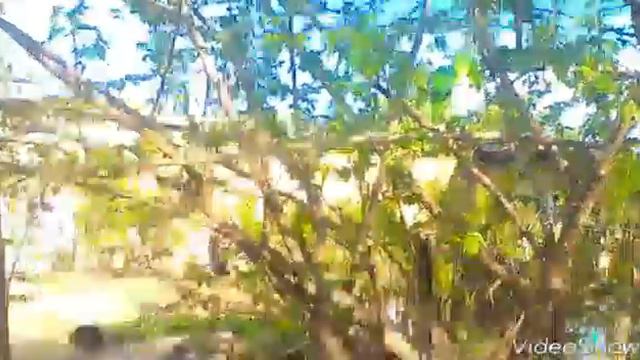 Наблюдения за природой смотреть онлайн