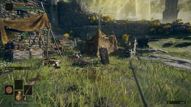 ELDEN RING est un formidable FPS! смотреть онлайн