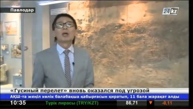 Уникальному памятнику гиппарионовой фауны в Павлодаре грозит исчезновение смотреть онлайн