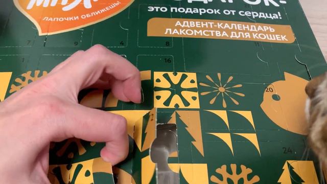 Распаковка адвент-календаря для кошек: часть ознакомительная смотреть онлайн