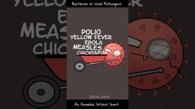 Бактериальды және вирустық патогендер😕 смотреть онлайн