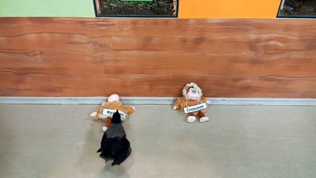 Франция vs Словакия чемпионат по хоккею смотреть онлайн