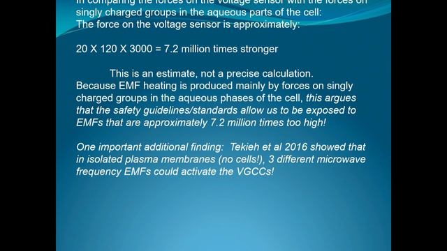 5th Generation Wireless Forum.Pall