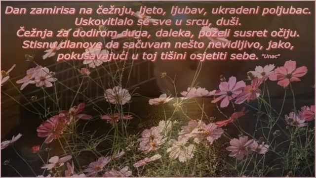Amira Medunjanin Dušo moja_x264 смотреть онлайн