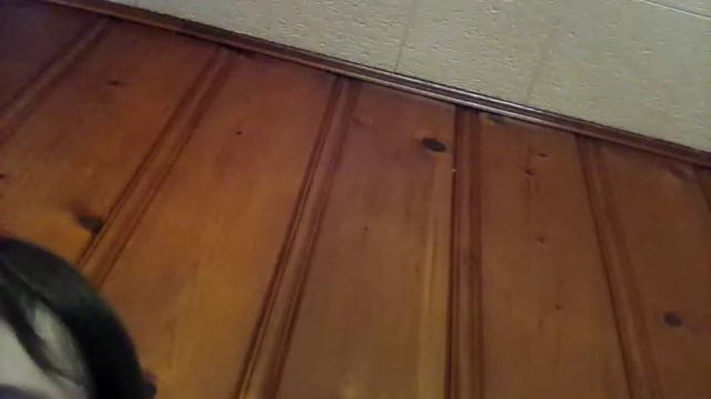 I'm moving on to monster girl maker 2 смотреть онлайн