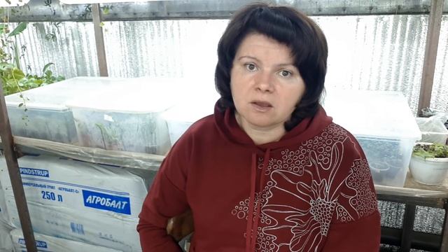 Грунты, субстраты, торф и микориза смотреть онлайн