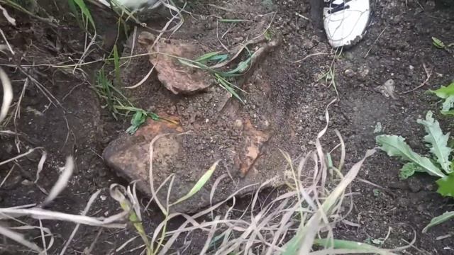 ПОЕХАЛИ КИДАТЬ МАГНИТ, А НАШЛИ ЭТО... смотреть онлайн