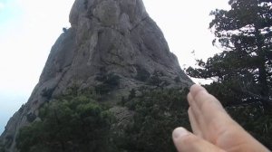 У рога Носорога