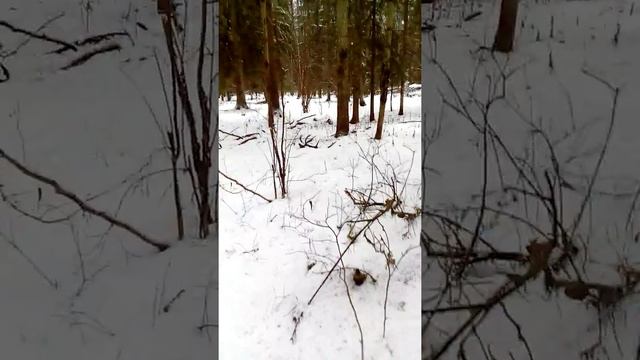 Нашёл рога оленя смотреть онлайн