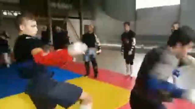 Cборы под руководством старшего тренера WFKO Шихана Алексея Горохова "Dragon's camp" 2019 смотреть онлайн