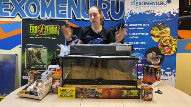 Мастер-класс по оформлению террариума для бородатой агамы или эублефара. Совместно с EXO TERRA. смотреть онлайн
