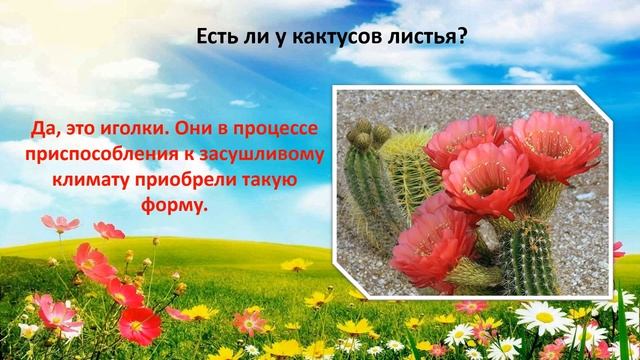 "Всемирный день земли" - эко-викторина смотреть онлайн