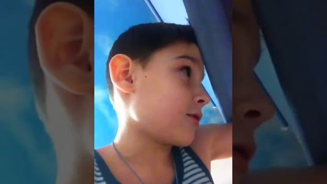 Хомяк чёрная карта смотреть онлайн