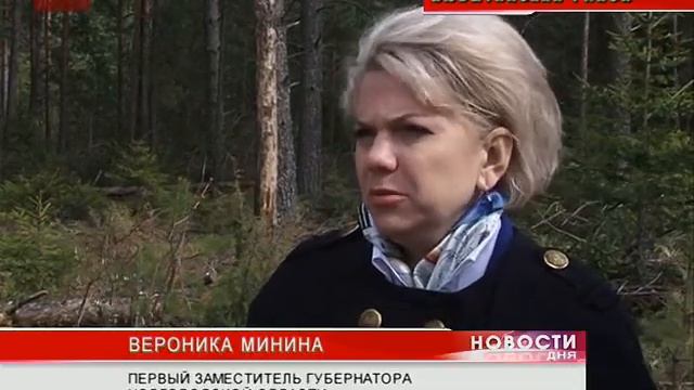 Рабочая группа областного правительства посетила п. Неболчи Любытинского района смотреть онлайн