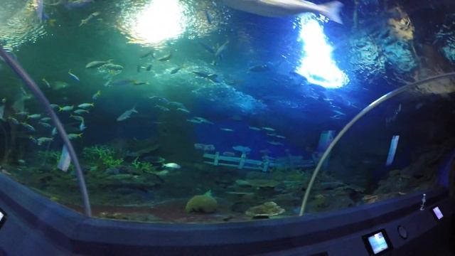 UNDERWATER WORLD PATTAYA 2018