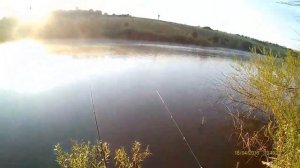 Карась с ладошку. Курская область Щигровский район село Кривцовка