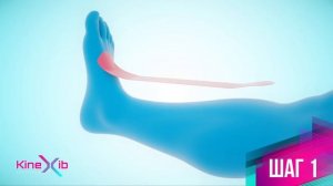 Kinexib - тейпирование взъема голеностопа