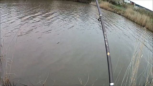 Рыбалка на КМВ, Казачий стан (с. Садовое), как поймать сазана смотреть онлайн