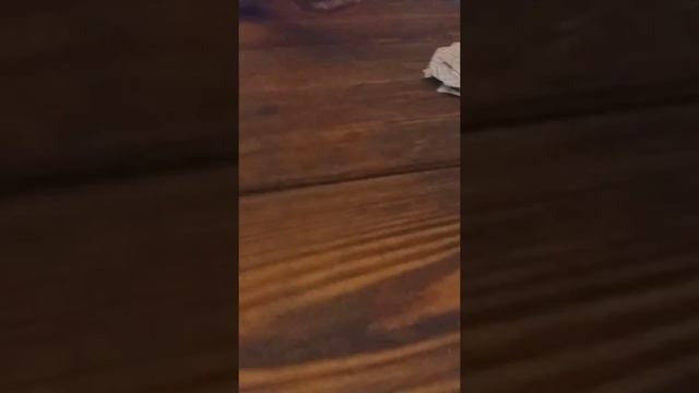 Как на да играть в карты смотреть онлайн