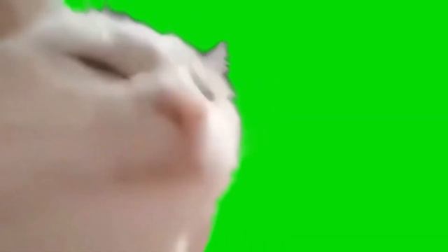 Новые футажи, хромокей, футаж, скачать футажи для видео