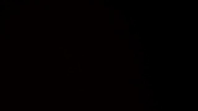 Pirastro Permanent Cello D String Demonstration смотреть онлайн