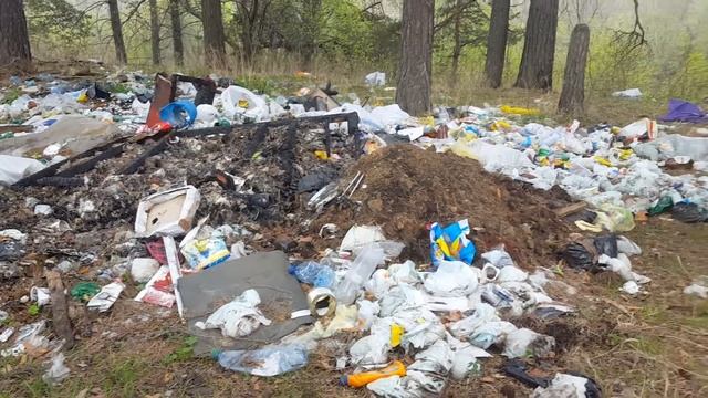 Лесной беспредел на туристическом маршруте в Белорецке смотреть онлайн