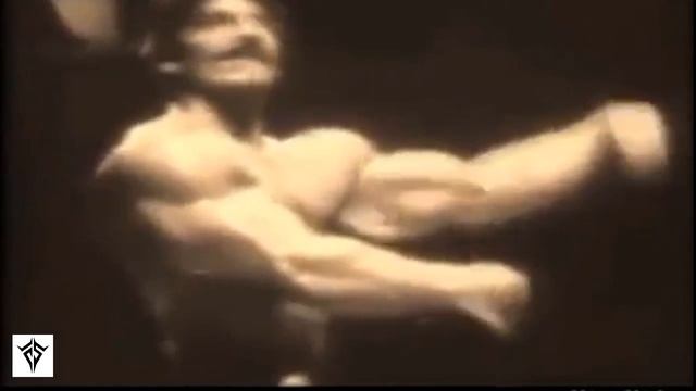 TOP 10 Best Triceps In Bodybuilding History !