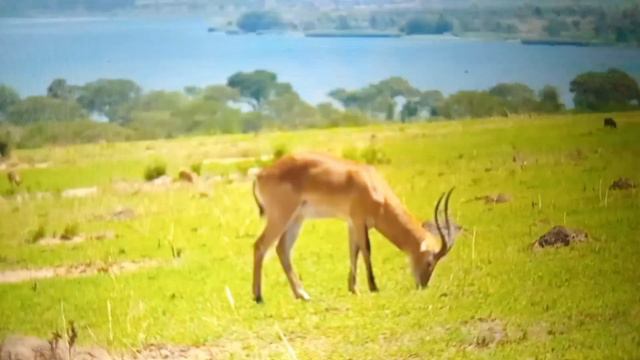 9 апреля 2023 г. смотреть онлайн