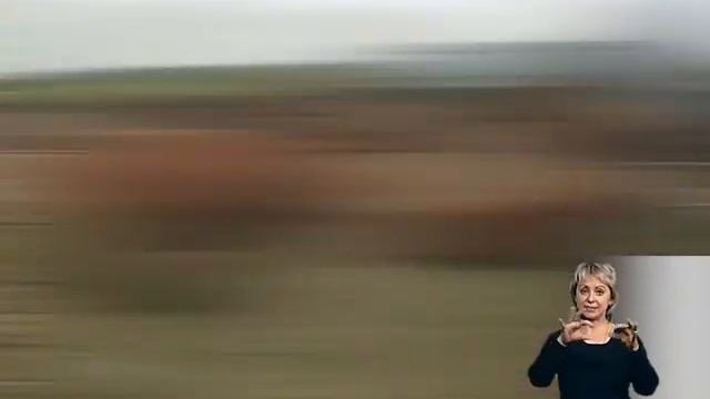 Станица-на-Дону: урожай хлебных полей - 6 июля 2017 смотреть онлайн