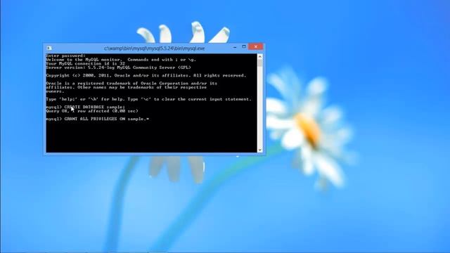 Create MySQL Database via Command Line смотреть онлайн