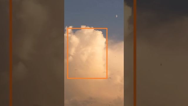 ??☁️Рассмотрим бабочку Красный адмирал.. смотреть онлайн