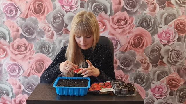 ЦВЕТЁТ ВСЁ ЛЕТО ДО ЗАМОРОЗКОВ! Как вырастить БЕГОНИЮ ИЗ СЕМЯН