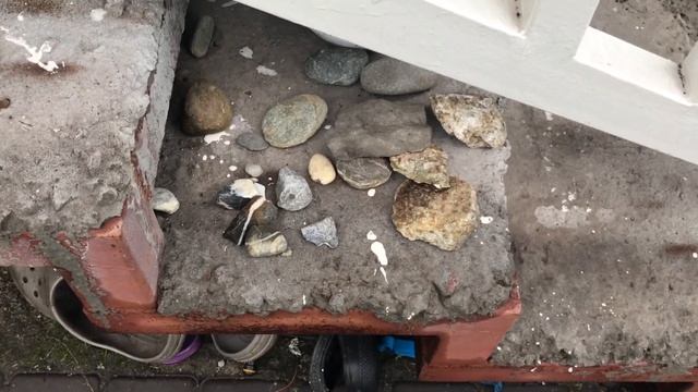 Вы только ПОСМОТРИТЕ как ОБЕЗЬЯНА МАРТА в частном доме КОНТРОЛИРУЕТ ВСЕ ПРОЦЕССЫ. Марта смотреть онлайн