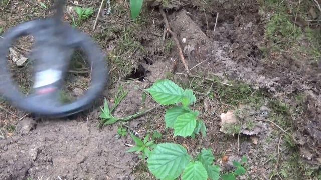 СМЕРТНЫЙ ЖЕТОН или Golden Mask 4 Pro тив minelab EXPLORER II смотреть онлайн