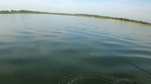 Рыбалка на спининг. Озеро Алабуга. Ловля щуки, окуня на воблер, джиг и блесну.