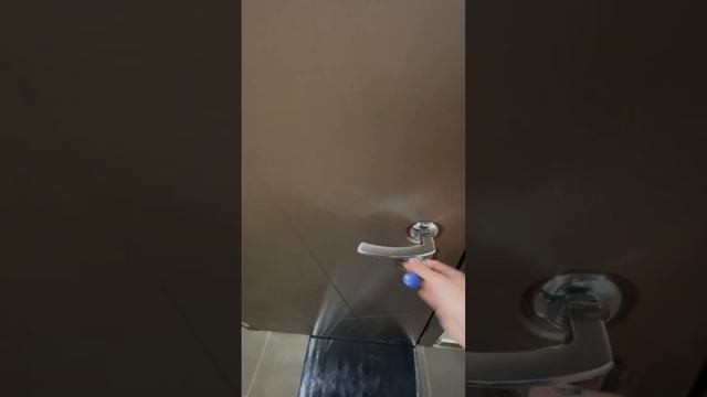 Обзор квартиры. Лиговский пр. 271