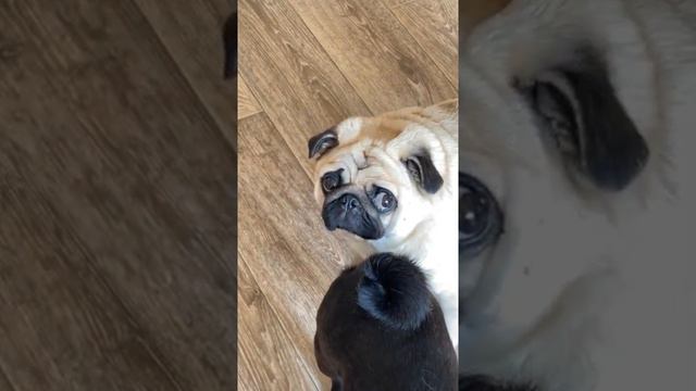 ПОХУДЕЛ НА 500 ГРАММ смотреть онлайн